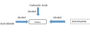 Ester Hydrolysis | Examples, Uses, Facts & Summary