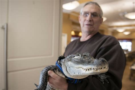 Man says emotional support alligator helps his depression - Off The ...