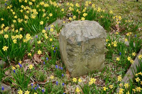 Boundary Stones: The quest to save DC’s 1st federal monuments | WTOP