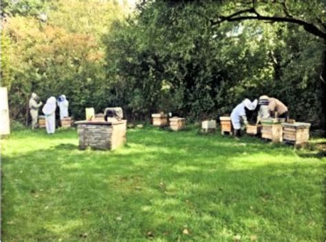 OBKA Beekeeper training under Covid-19 restrictions – Oxfordshire Beekeepers Association