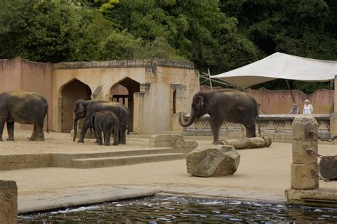 Dschungelpalast - Erlebnis-Zoo Hannover | Freizeitpark-Welt.de