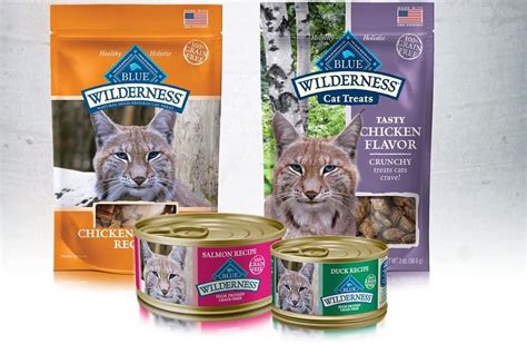 Top 10 Best Grain Free Cat Foods in 2024 Reviews | Buyer's Guide