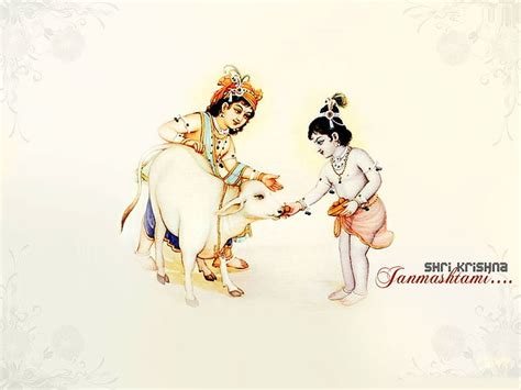 HD wallpaper: Krishna Balaram Feeding Cow, Hindu God cow, Lord Krishna ...