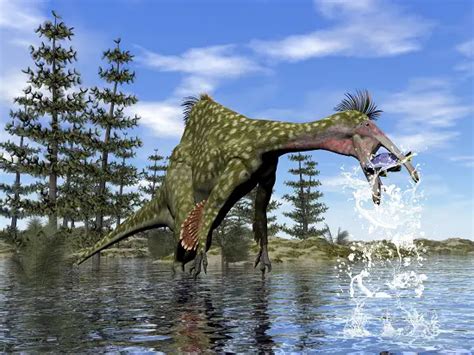 What Was The Biggest Omnivore Dinosaur? - Dinosaur Facts For Kids