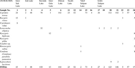 Number of individuals per ostracod species identified in the... | Download Table