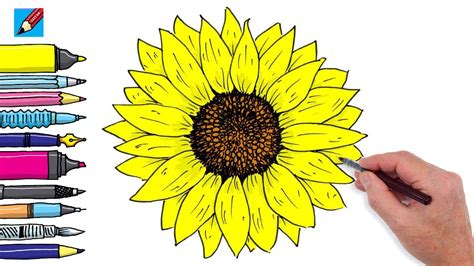 How to draw a Sunflower Real Easy - Step By Step Instructions - YouTube