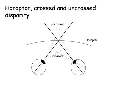 Binocular Cues Retinal Disparity