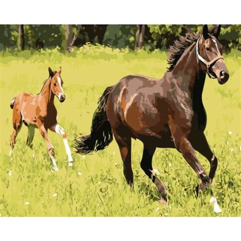 Buy Horse Diy Paint By Numbers Kits VM92374 | Australia – Australia ...