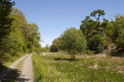 Road from Taynish House © Richard Webb cc-by-sa/2.0 :: Geograph Britain and Ireland