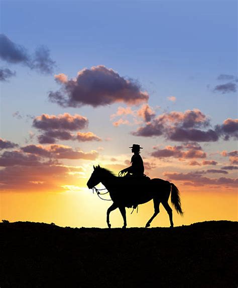 Top 60 Cowboy Sunset Stock Photos, Pictures, and Images - iStock