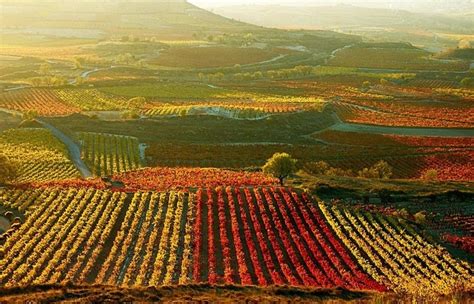 La Rioja wine region - 6toplists