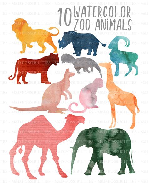 10 Watercolor Zoo Animals. Images. Digital Download - Etsy