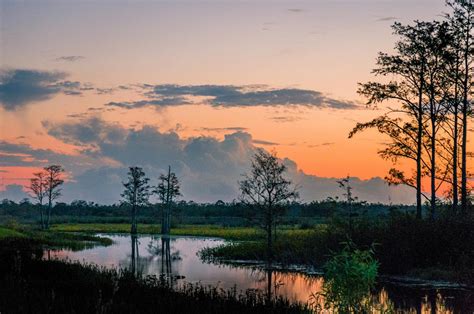 Preserving Acadian culture in Cajun country | Canadian Geographic