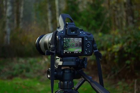 Best Tripods for Wildlife Photography (Top 6 Options) - Wildlife Informer