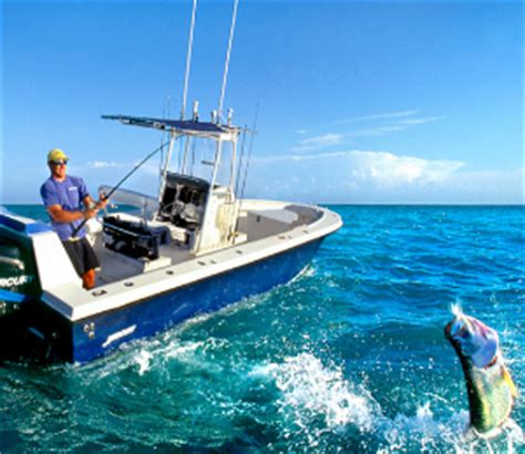 Fishing Charters in Cabo San Lucas Mexico