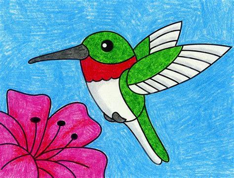 Easy How to Draw a Hummingbird Tutorial Video & Coloring Page