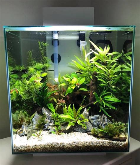 Fluval Edge 46 Litre Fish Aquarium Gloss Black - Aquascape Ideas