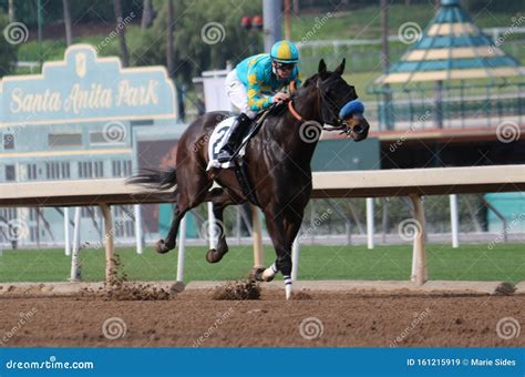 Horse Racing at Santa Anita Racetrack Editorial Stock Image - Image of ...