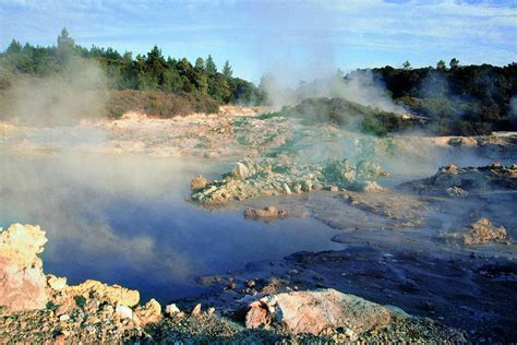 Hells Gate Geothermal Park & Mud Spa | Rotorua Attraction