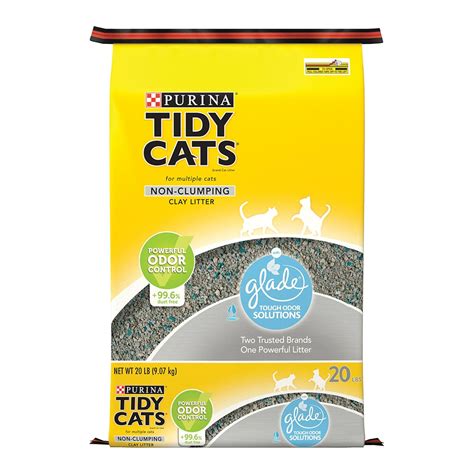 8 best flushable cat litter brands reviews