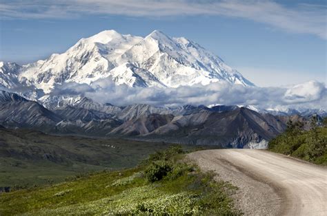 Visit Denali National Park: Alaska Cruise Add-On from Seward | Bus Tour