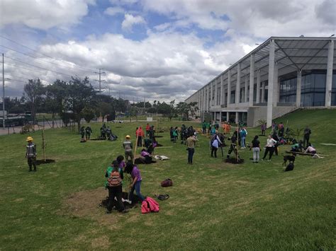 Crónica - 400 nuevos árboles: el regalo para el Parque El Tunal en el Día Mundial del Árbol ...