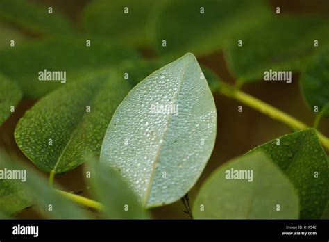 The Special One Stock Photo - Alamy