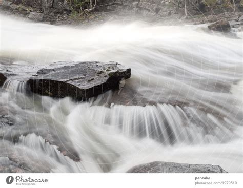 water | music Nature - a Royalty Free Stock Photo from Photocase