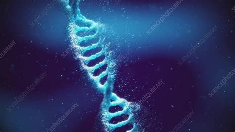 DNA molecules, animation - Stock Video Clip - K011/6872 - Science Photo Library