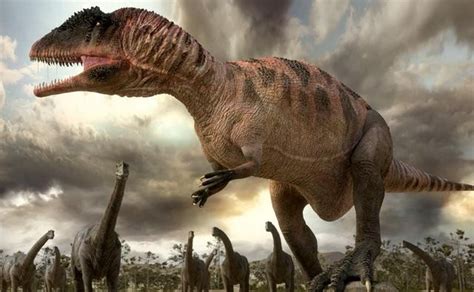 Carcharodontosaurus Pictures & Facts - The Dinosaur Database