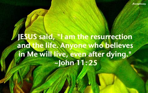 Flowery Blessing: Jesus said, "I am the resurrection and the life ...