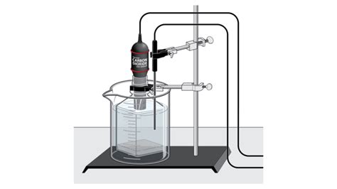 Sugar Metabolism with Yeast (Carbon Dioxide Gas) > Experiment 10A from ...