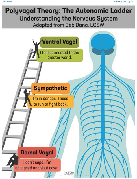 Polyvagal Theory. – Richard Bamford Therapy