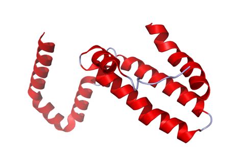 10 Astounding Facts About Integumentary System - Facts.net