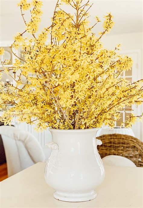 Forcing Forsythia Branches into Beautiful Spring Flowers | Spring ...