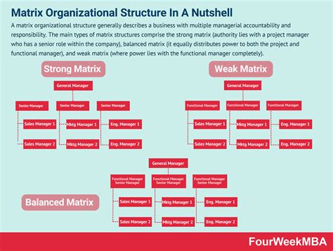 What Are T-Shaped Skills And Why You Need To Hire A X-Shaped Profile - FourWeekMBA