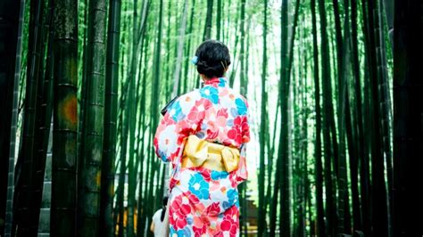 Free picture: women, kimono, Japan