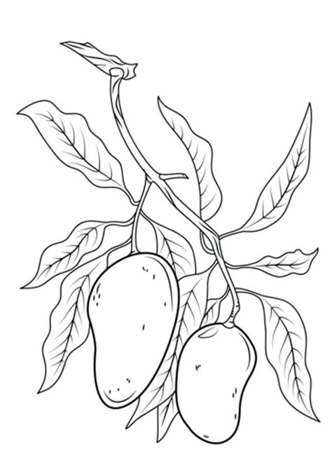 the fruit is growing on the tree coloring page