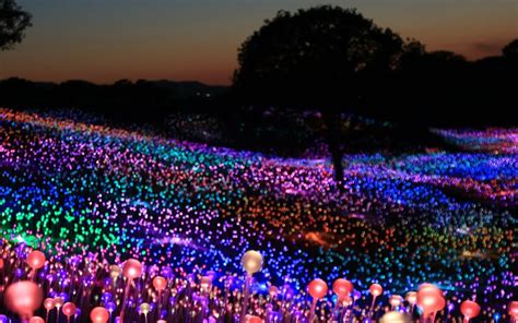 The Sensational “Field of Light” Installation Is Now on View in Paso ...