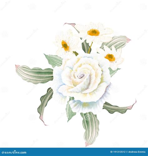 Vintage White Hand Painted Rose Bouquet Stock Photo - Image of elegance, green: 191313512