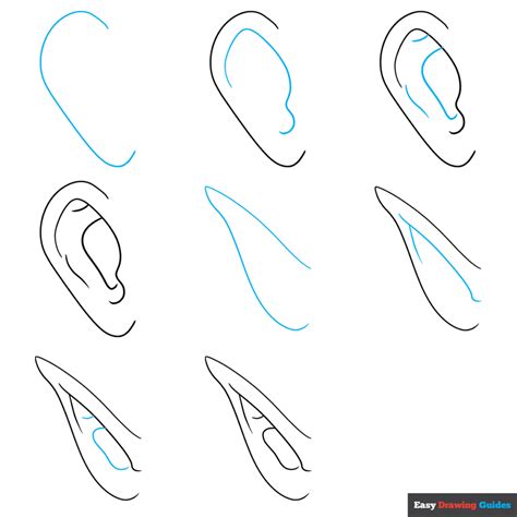 How To Draw Human Ears Step By Step