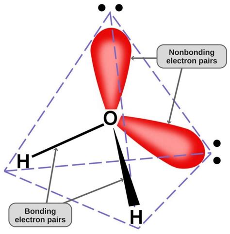 Is Water Polar Or Nonpolar? » ScienceABC