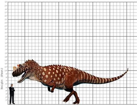 My Ceratosaurus size comparison by EthanThomas2022 on DeviantArt