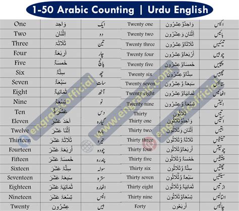 Urdu Numbers 1 100 Pdf Download - Angie Lanen