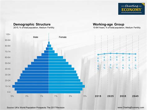 What is the demographic structure of Myanmar? | Charting Economy