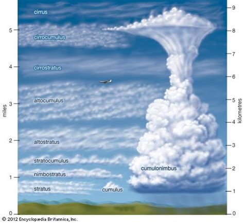 cloud types - Google Search | Weather science, Earth and space science, Weather lessons