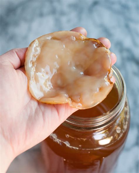 Making Your Own Kombucha Scoby Is Actually Pretty Easy | Recipe | Kombucha recipe, Homemade ...