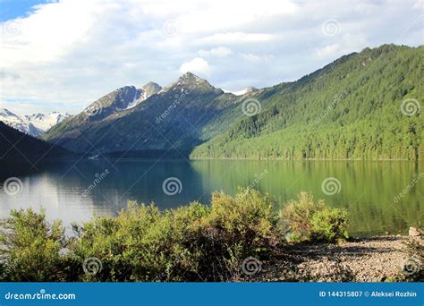 The Beauty of the Altai Mountains in Summer in Good Weather Stock Image ...