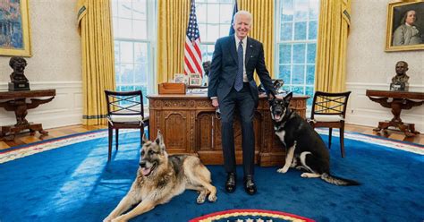 Biden Dog Champ Dies