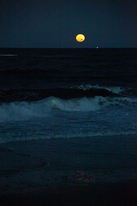 Family Portraits at Cape Cod Beaches: Full Moon Night at Nauset Beach